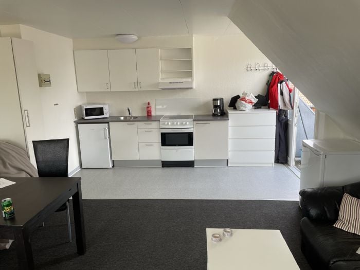 1-room apartment in Hemmet image 1